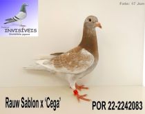 POR 22-2242083